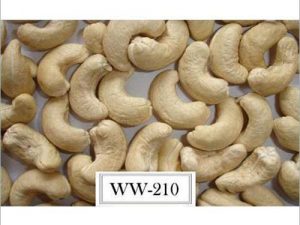 Cashew nuts WW210-Vietnam Raw Cashews
