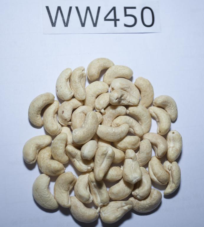 Cashew-nuts-WW450-Vietnam-Raw-Cashews-2 Cashew nuts WW450-Vietnam Raw Cashews